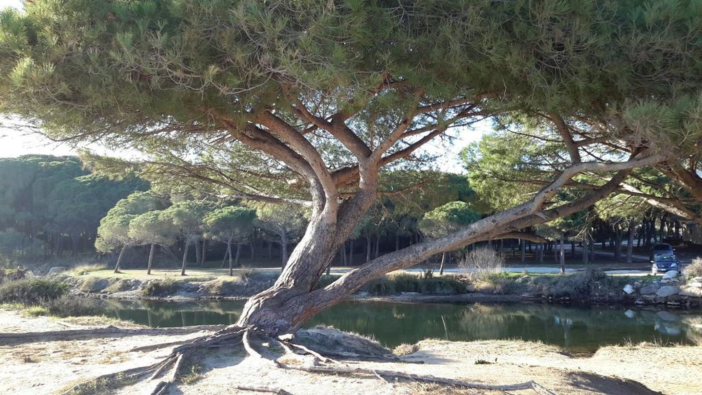 شقة أروسييْ  في Casa Rosina المظهر الخارجي الصورة